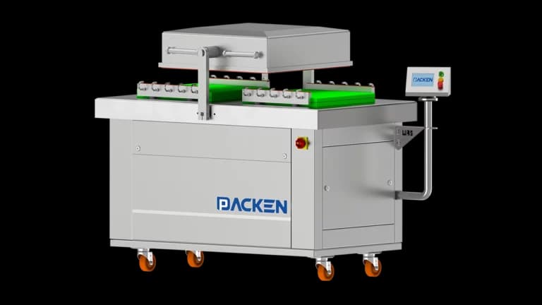 Vacuum chamber packaging machine image