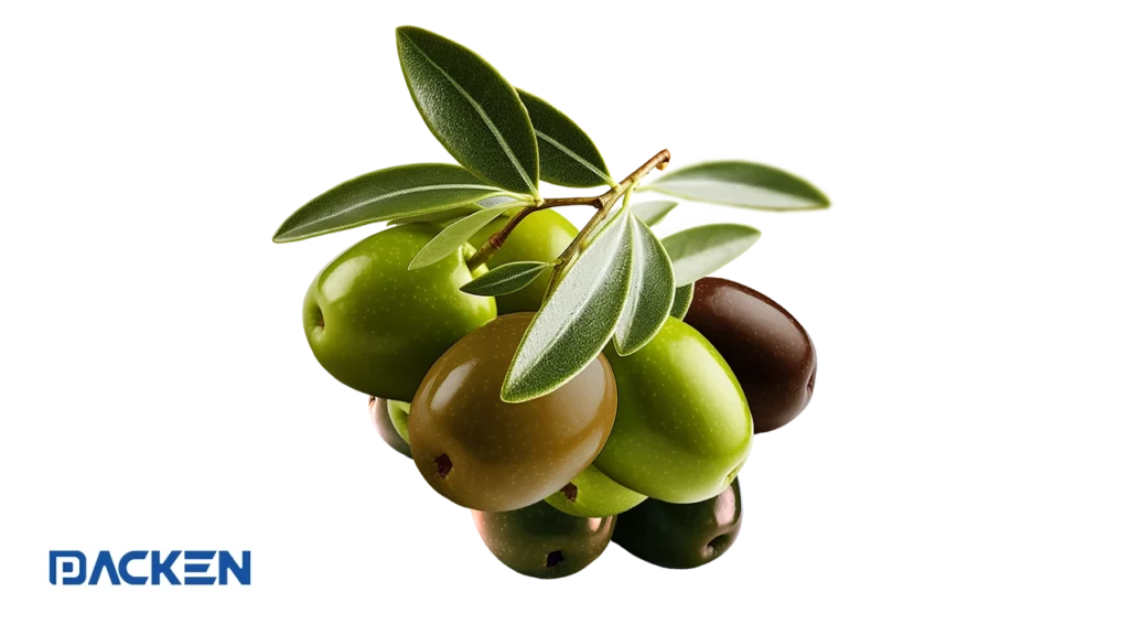 Olive Packaging Machine